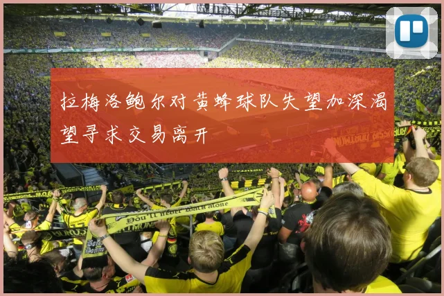 拉梅洛鲍尔对黄蜂球队失望加深渴望寻求交易离开
