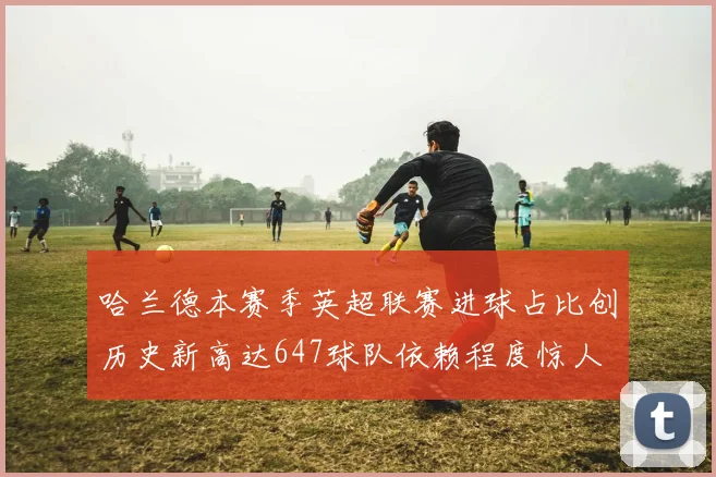 哈兰德本赛季英超联赛进球占比创历史新高达647球队依赖程度惊人