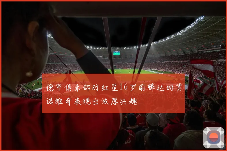 德甲俱乐部对红星16岁前锋达姆贾诺维奇表现出浓厚兴趣