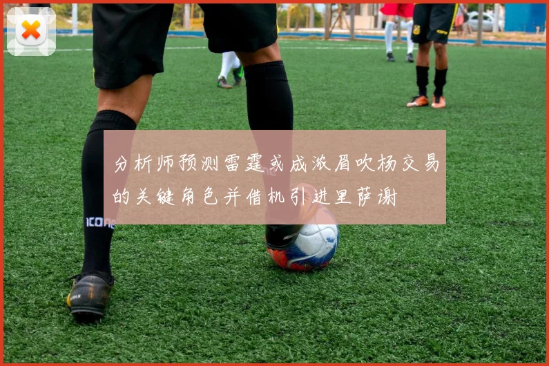 分析师预测雷霆或成浓眉吹杨交易的关键角色并借机引进里萨谢