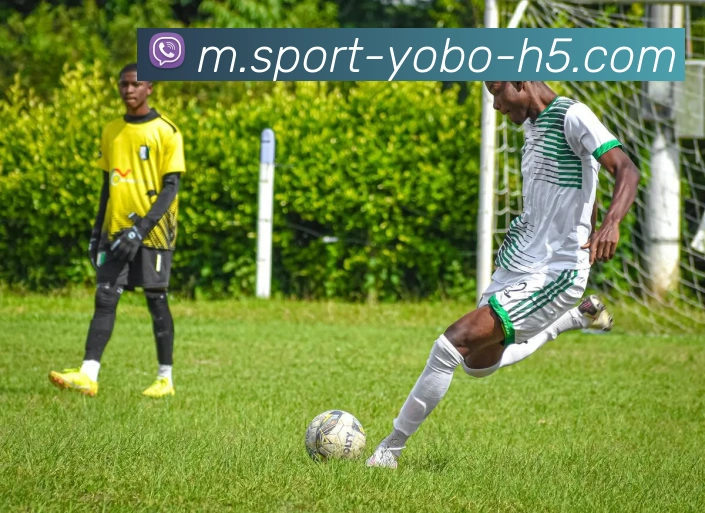 yobo体育品牌故事