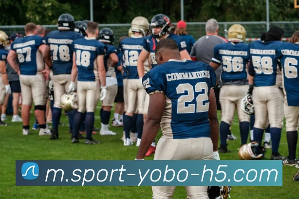 yobo体育服务体系